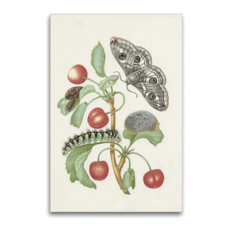 Premium-Leinwand Merian