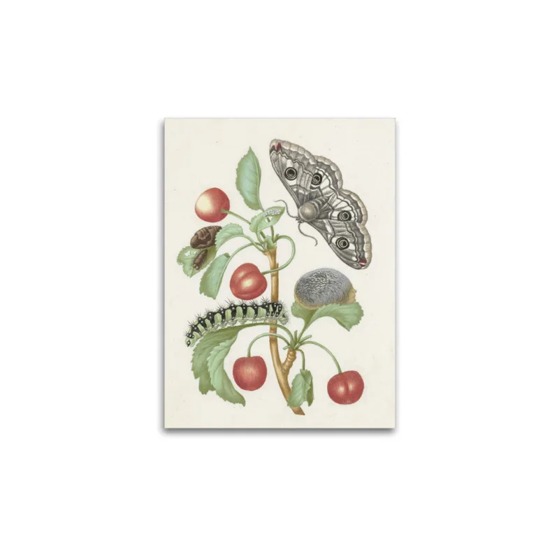 Premium-Leinwand Merian