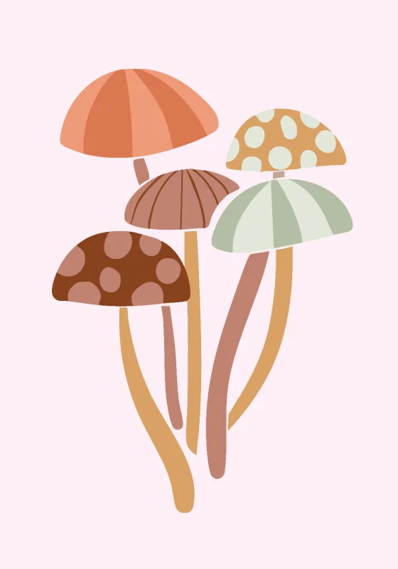 Wohndecke Pilze