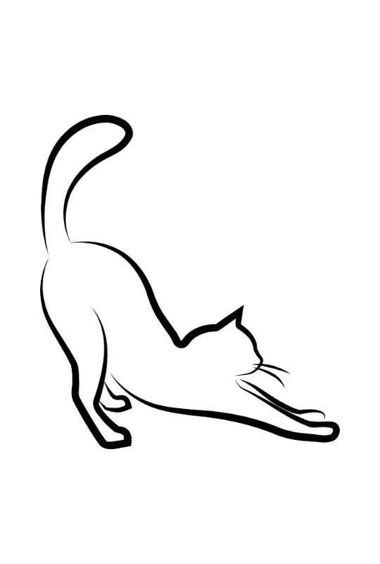 Bettwäsche-Set Black Cat 2 Baumwolle
