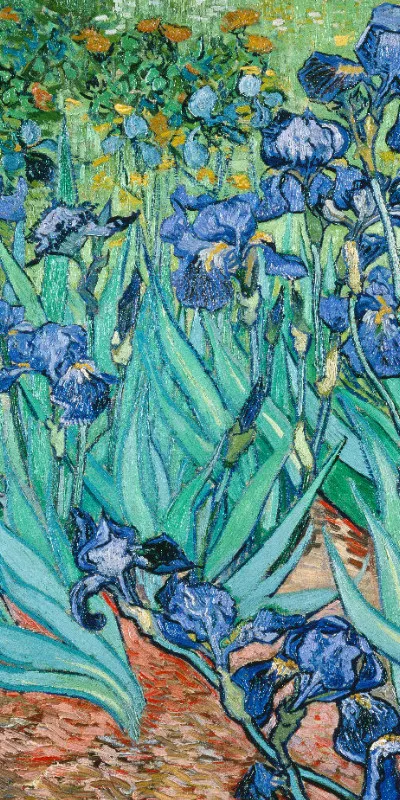 Handtuch Iris - Van Gogh