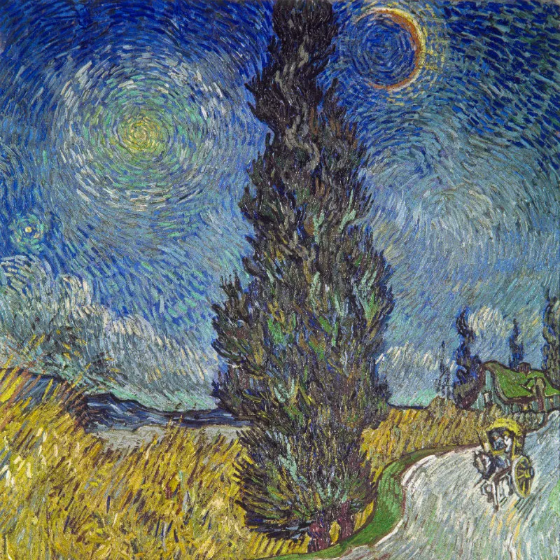 Motivbettwäsche Van Gogh - Landstraße Mikrofaser