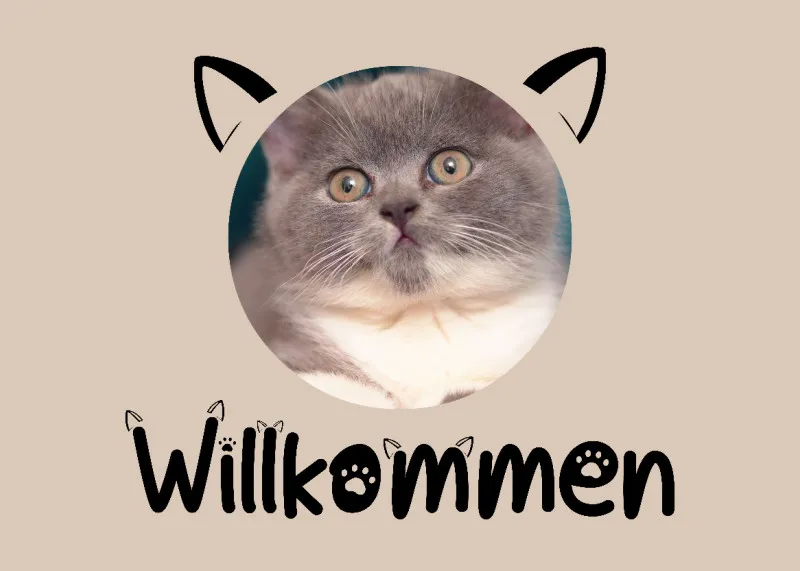 Fußmatte Willkommen im Cat-Style personalisiert mit Foto - Geschenkidee für Familie, Paare, zum Einzug - Türvorleger mit Bild bedruckt Willkommen Cat-Style 70 x 50 cm