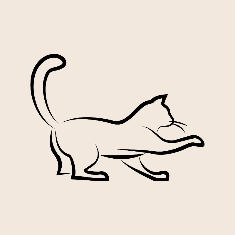 Bettwäsche-Set Black Cat 3 Mikrofaser