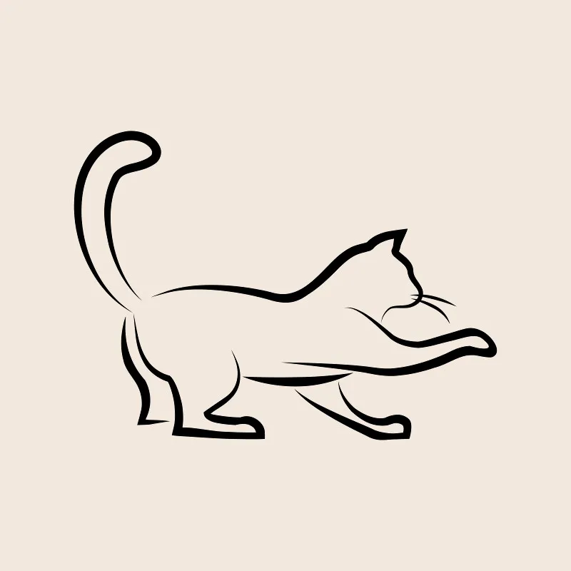 Bettwäsche-Set Black Cat 3 Mikrofaser