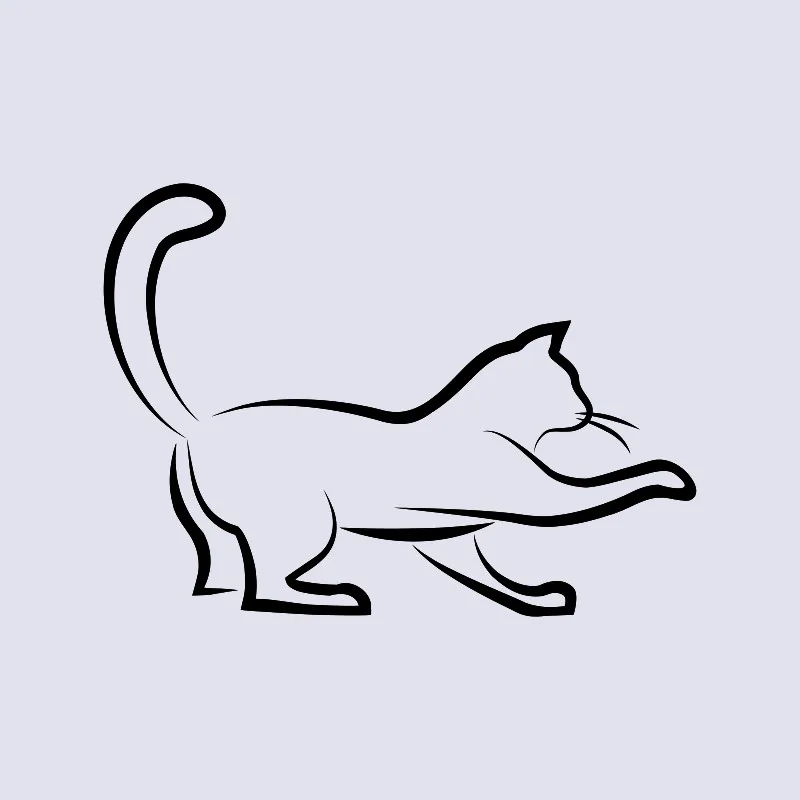 Bettwäsche-Set Black Cat 3 Mikrofaser