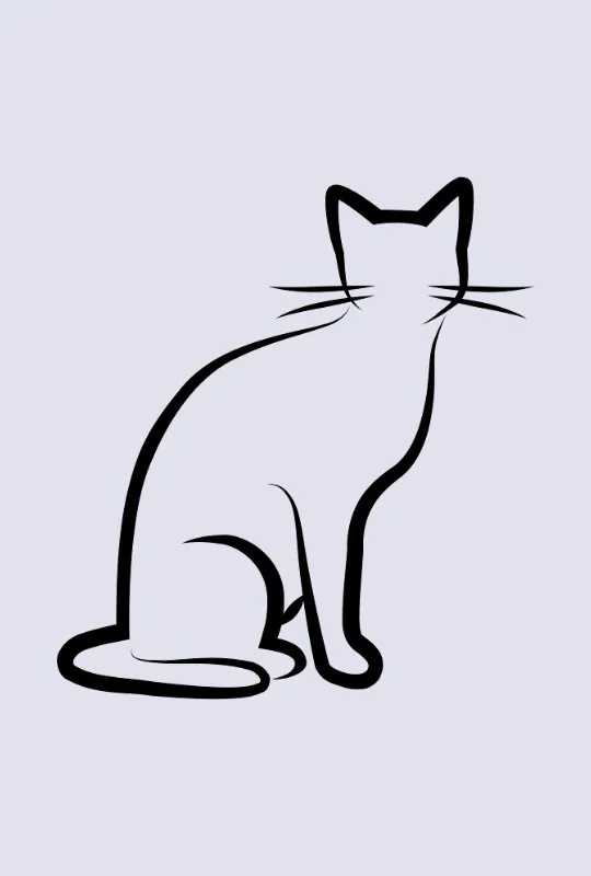 Bettwäsche-Set Black Cat 1 Mikrofaser
