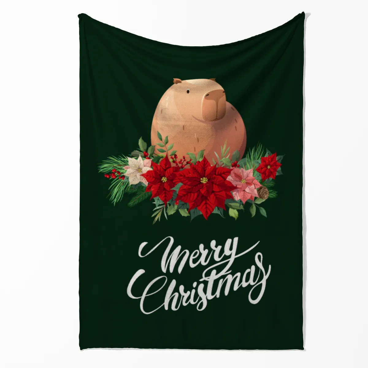 Wohndecke Weihnachtscapy mit Mütze