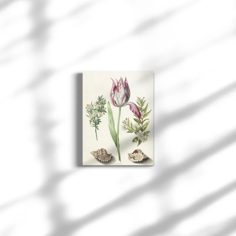 Premium-Leinwand Merian
