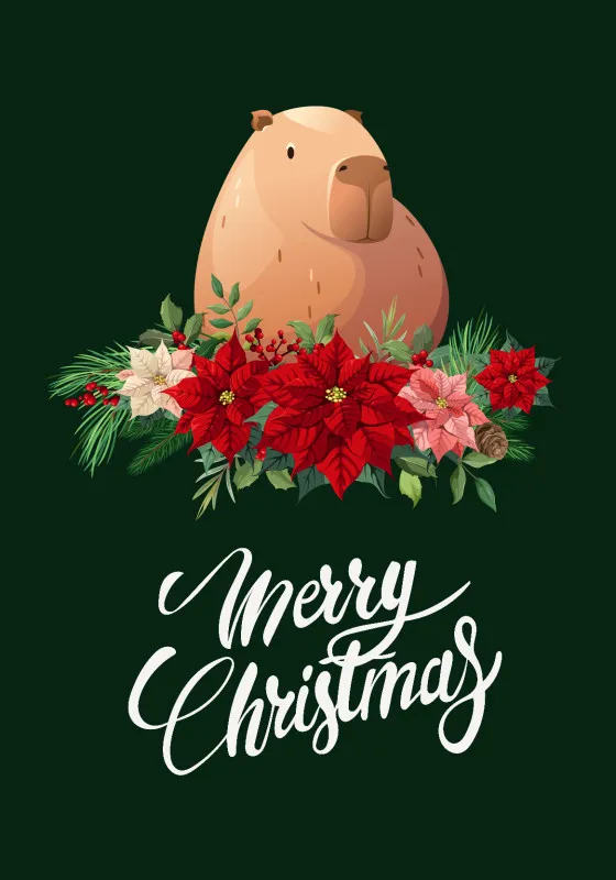 Wohndecke Weihnachtscapy mit Mütze