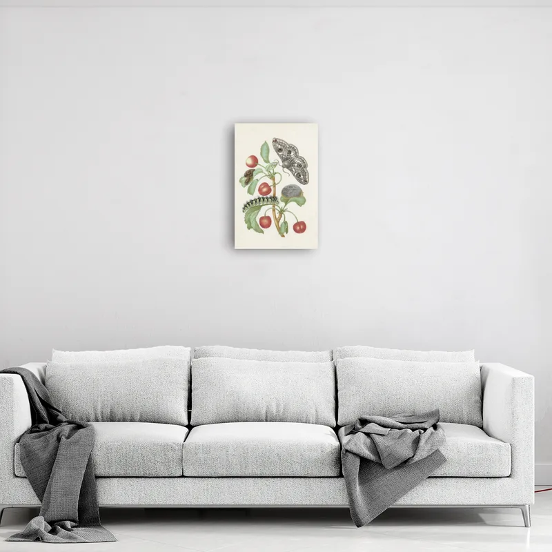 Premium-Leinwand Merian