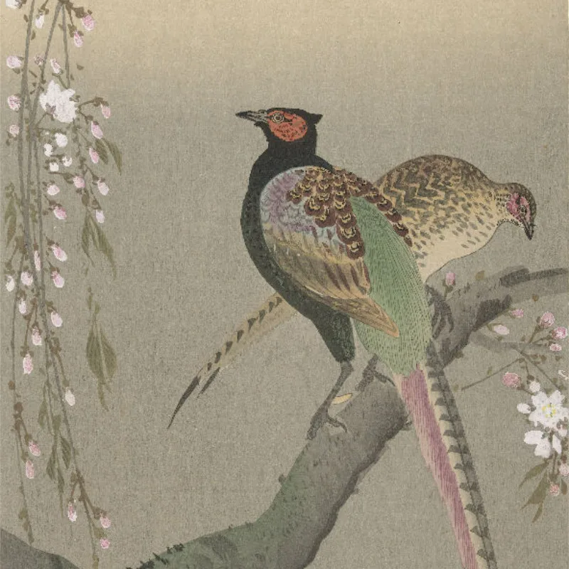Bettwäsche-Set Shôson - Blumen und Vögel Mikrofaser