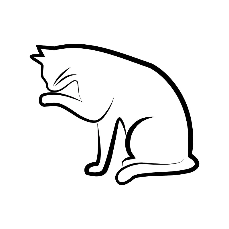 Bettwäsche-Set Black Cat 4 Mikrofaser
