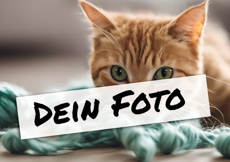 Fotopuzzle mit eigenem Bild - Puzzle selbst gestalten 1000 Teile - Schachtel Meow - mit Foto personalisiert - Geschenk Katzenfans Meow 1000 Teile Quer