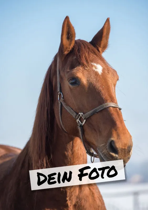 Fotopuzzle mit eigenem Bild - Fotopuzzle selbst gestalten 1000 Teile - Schachtel Skandipferde- Puzzle mit Foto personalisiert - Geschenk Geburtstag, Pferdefans Skandipferde 1000 Teile Quer