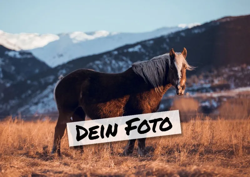 Fotopuzzle mit eigenem Bild - Fotopuzzle selbst gestalten 1000 Teile - Schachtel Skandipferde- Puzzle mit Foto personalisiert - Geschenk Geburtstag, Pferdefans Skandipferde 1000 Teile Quer
