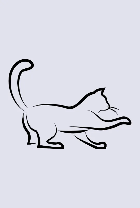 Bettwäsche-Set Black Cat 3 Mikrofaser
