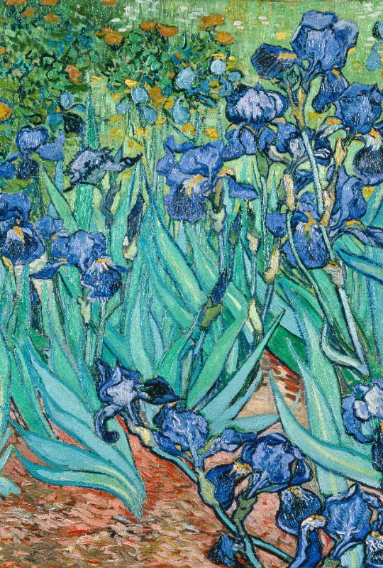 Bettwäsche-Set van Gogh - Iris Mikrofaser