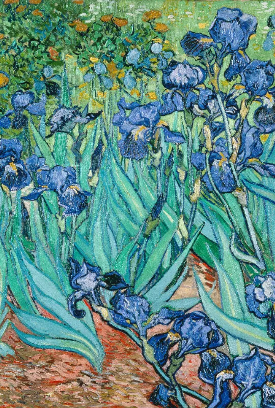 Bettwäsche-Set van Gogh - Iris Mikrofaser