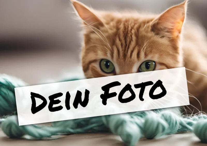 Fotopuzzle mit eigenem Bild - Puzzle selbst gestalten 1000 Teile - Schachtel Meow - mit Foto personalisiert - Geschenk Katzenfans Meow 1000 Teile Quer