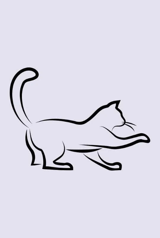 Bettwäsche-Set Black Cat 3 Mikrofaser