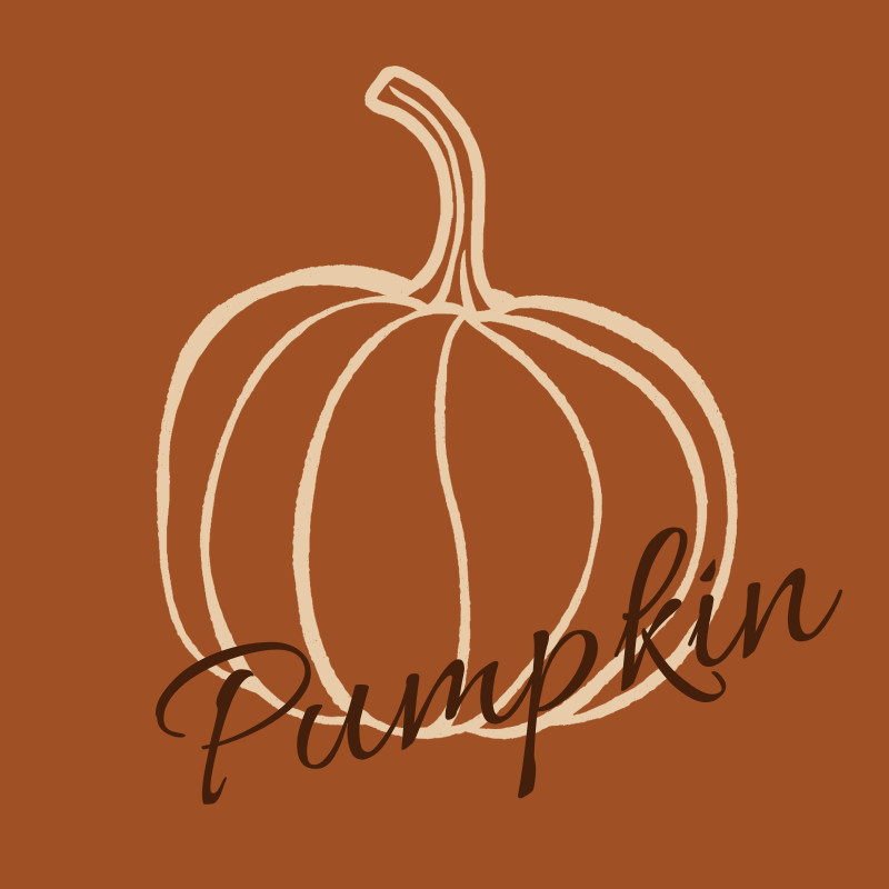 Samtkissenbezug Pumpkin