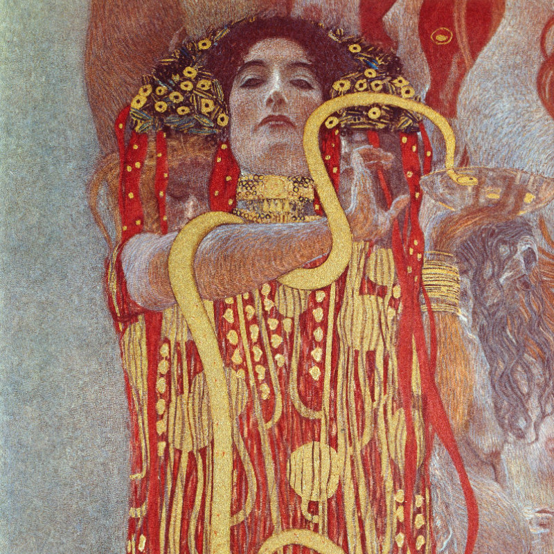 Motivbettwäsche Klimt - Hygieia Mikrofaser